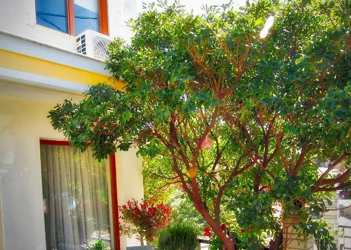 Iokastis Kavala